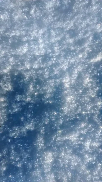Ocak ayının beyaz karı. kış çizimi.