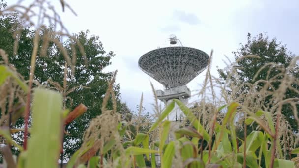 Satelitní pole uprostřed prostoru komunikace přes kukuřičné pole — Stock video