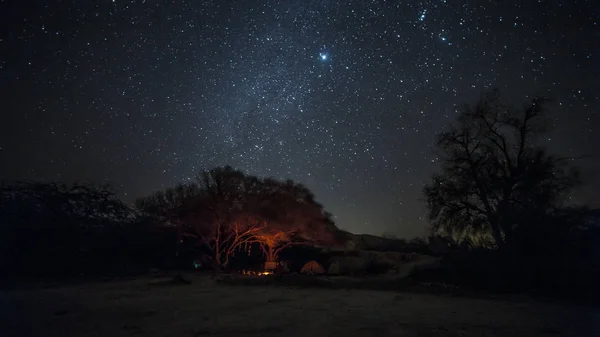 Läger med lägereld i vilda öknen natten med Vintergatan på himlen Royaltyfria Stockbilder