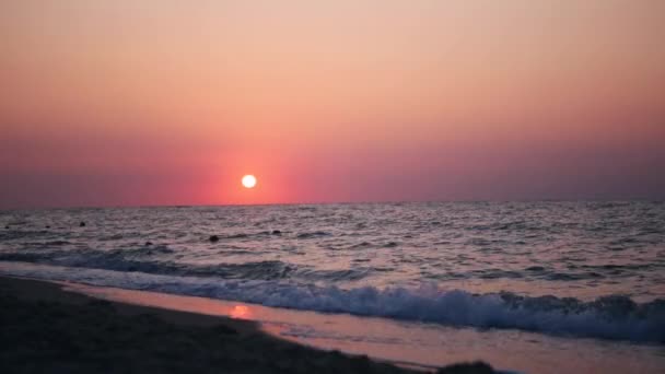 Lever de soleil sur la plage avec mouettes volantes — Video