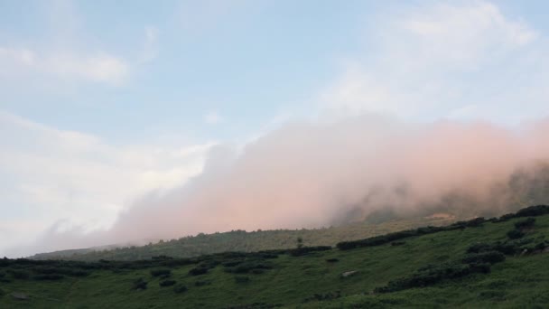 Brouillard matinal dans les Carpates 