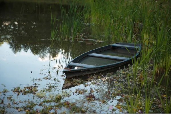 Boot am See zwischen Schilf festgemacht — Stockfoto