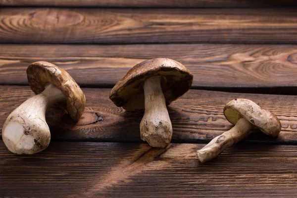 Ahşap arka plan üzerinde orman mantar. Sonbahar Cep mantar.