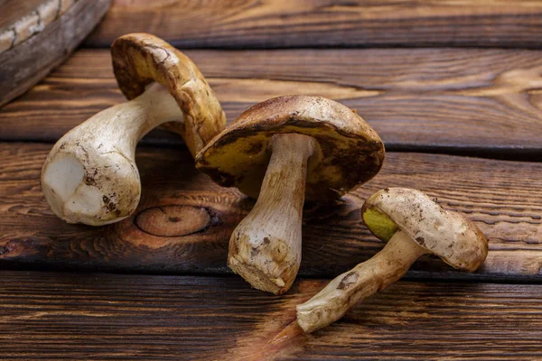 Ahşap arka plan üzerinde orman mantar. Sonbahar Cep mantar.