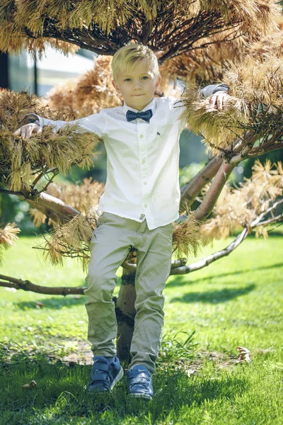 Pequeño chico rubio vestido con esmoquin y pajarita de pie en el día soleado al aire libre — Foto de Stock