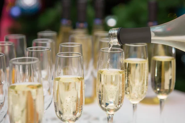 Copos de champanhe. recepção — Fotografia de Stock