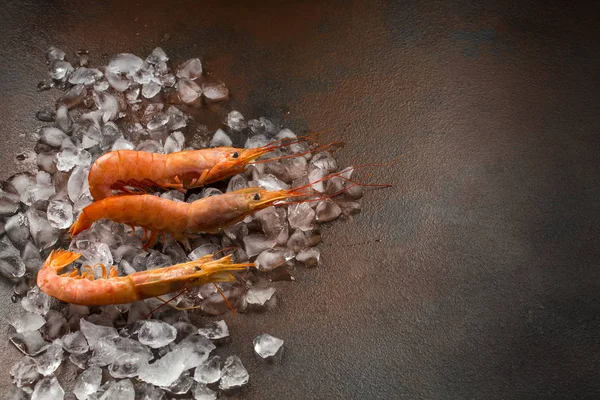 Crevettes argentines rouges tête sur fond sombre. Grandes crevettes tigrées ou langostinos — Photo