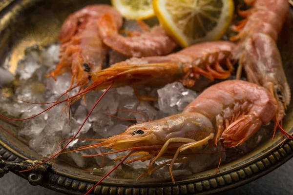 Gran tigre Camarones y rodaja de limón fresco en plato antiguo lleno de hielo . —  Fotos de Stock