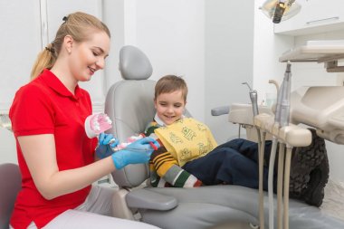 küçük çocuk nasıl bir yapay çene kukla üzerinde bir diş fırçası ile dişleri temizlemek için gösterilen diş hekimi