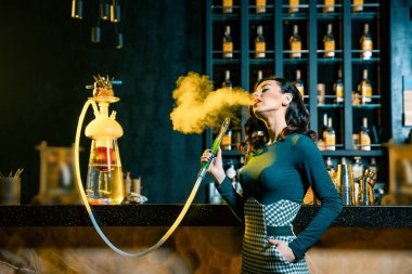 Young woman smoking a hookah behind the bar. Cloud of smoke. Beauty portrait of young woman enjoying the hookah clipart