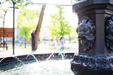 Aslan su çeşme bir parkta.