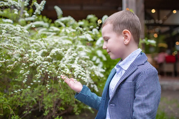 Lindo chico preshcool, disfrutando de flores blancas arbusto en el jardín en flor, primavera — Foto de Stock