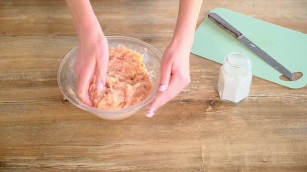 Gros plan des mains féminines remuer la viande hachée. Les mains féminines remuent la viande hachée dans un bol transparent — Video