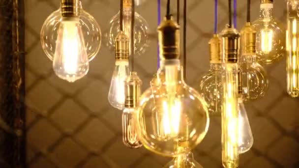 Many Glowing Decorative Electrical Bulbs Hanging Ceiling Indoors — Stock Video