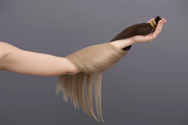 sample of dyed hair. hair cut for extension wrapped around the hand on grey background. Hair tresses