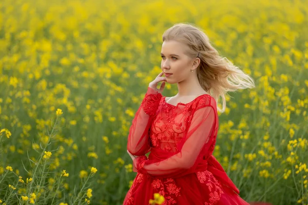 Retrato Menina Adolescente Loira Vestindo Vestido Vermelho Posando Campo Com — Fotografia de Stock