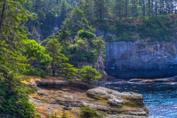 Cape Flattery - Costa de Washington — Foto de Stock