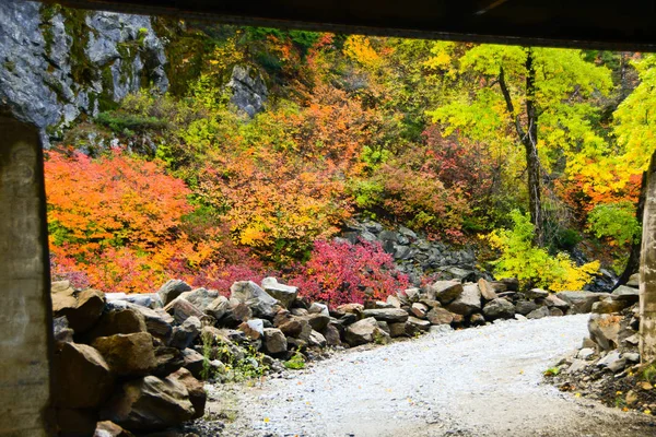 Leavenworth, Washington yakınlarında sonbahar renkleri — Stok fotoğraf