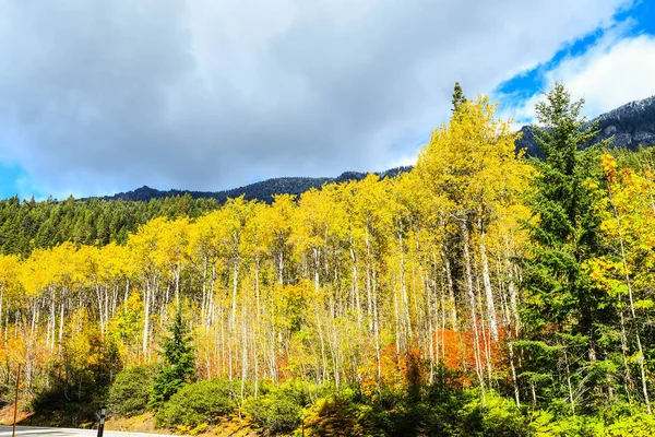 Herbstfarben in Central Washington — Stockfoto