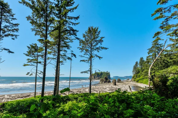 Ruby Beach, Waszyngton — Zdjęcie stockowe