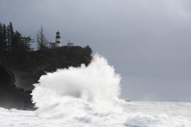 Cape hayal kırıklığı State Park, Washington kıyısında dalgaları