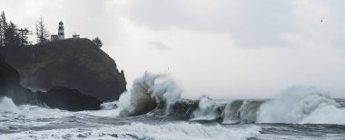 Cape hayal kırıklığı State Park, Washington kıyısında dalgaları