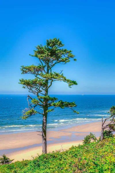 Cannon Beach, Oregon — Foto de Stock