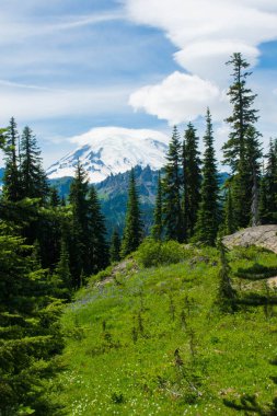 Mount Rainier