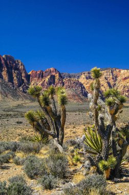 Kızıl Kaya Kanyonu