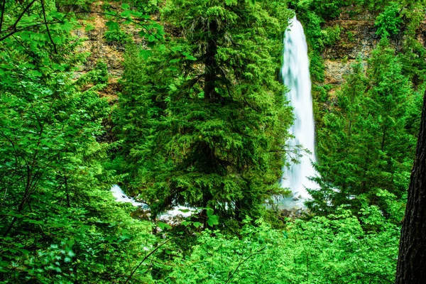 Mill Creek Falls, OR no Parque Nacional — Fotografia de Stock