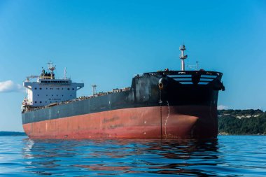 Elliott Bay bulker