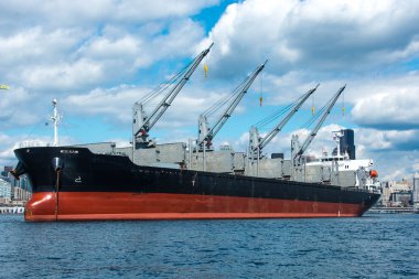 Seattle Elliott Körfezi 'nde demirlemiş toplu taşıyıcı