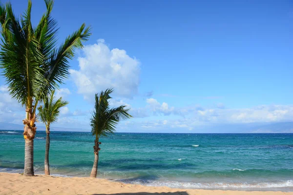 Napili, Hawaii — Stock Photo, Image