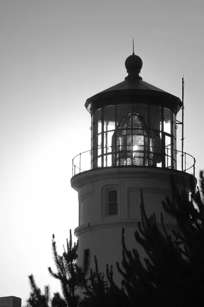 Yaquina Head Light — Stock Photo, Image