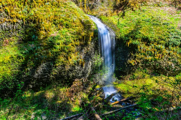 Weber Falls — Stock Photo, Image