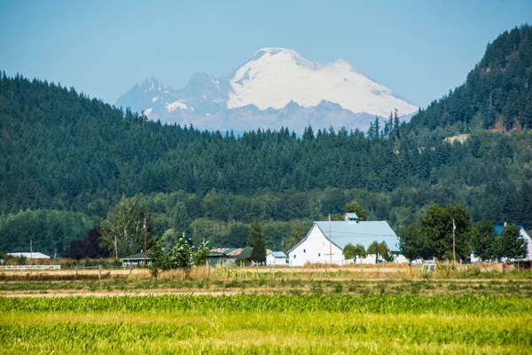 Granero con Mt Baker —  Fotos de Stock