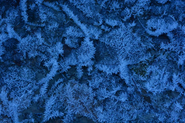 Cold blue frost on the ground — Stock Photo, Image