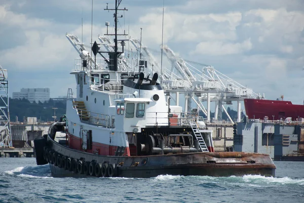 Tug working on Elliott Bay, mid afternoon Royalty Free Stock Photos