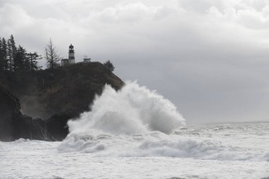 Cape hayal kırıklığı State Park, Washington kıyısında dalgaları