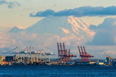 Seattle konteyner terminali ile arka planda Rainier Dağı