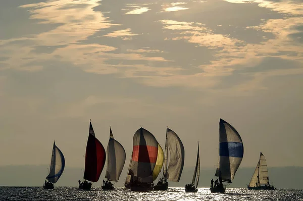 Sailboat Racing в полдень — стоковое фото