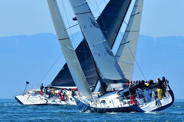 Segelbootrennen — Stockfoto