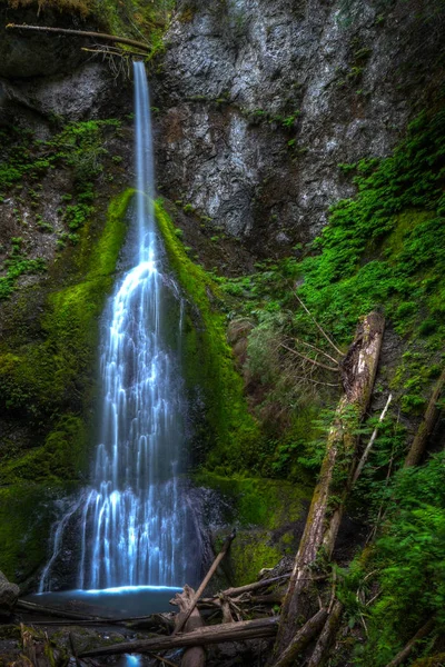Marymeer Falls en el Parque Nacional Olímpico, Washington — Foto de Stock