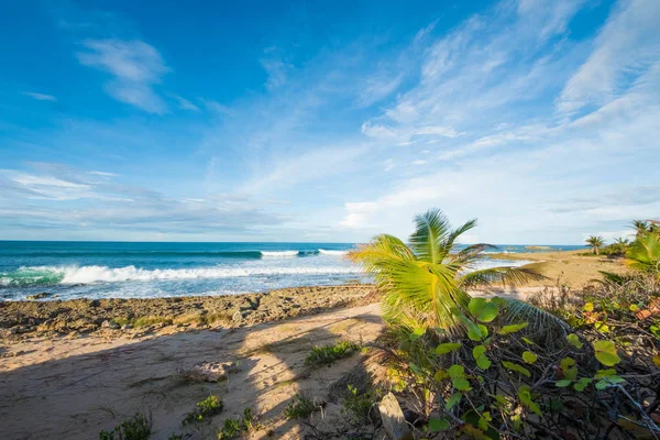 Puerto Rico Beach Scene — Stock Photo, Image