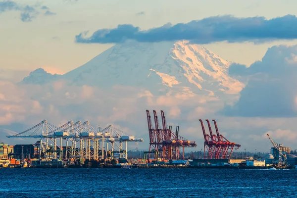 Seattle Container Terminal with Mount Rainier in the Background — Stock Photo, Image