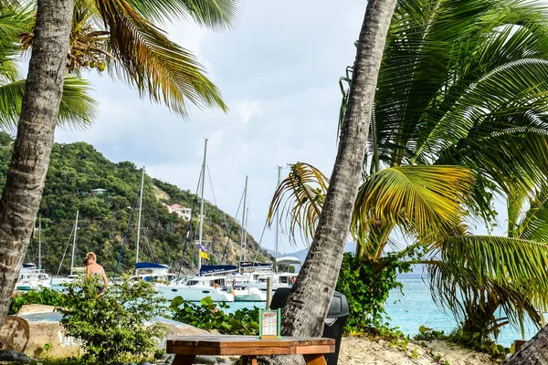 Virgin Island Beach — Stockfoto