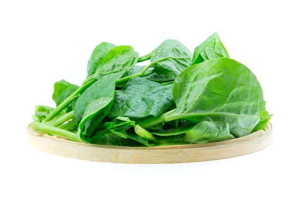 Spinach Vegetables Isolated White Background — Stock Photo, Image