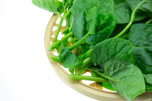 Basella Alba Malabar Spinach Diisolasi Pada Latar Belakang Putih — Stok Foto