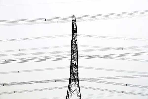Лінія Електропередач Білому Тлі — стокове фото