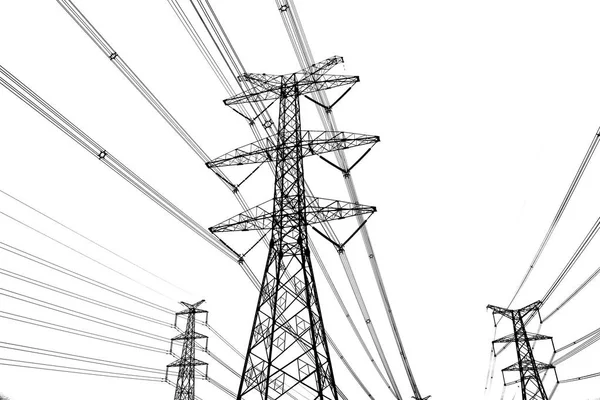 Power Line White Background — Stock Photo, Image